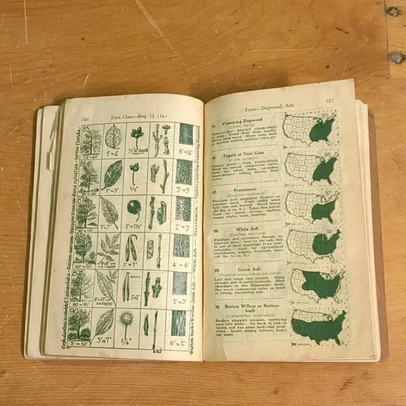 Handbook for  Boys, Boy Scouts of America (cover art by Norman Rockwell) - Picture 7 of 9